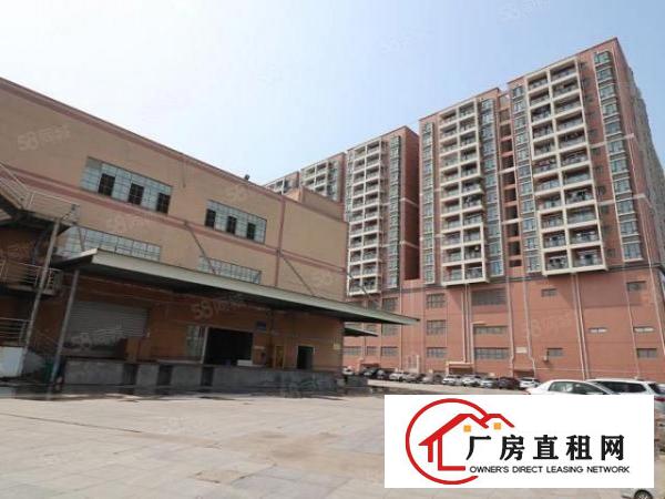  长安沙头村建安路2245平米超低价便宜厂房业主直租，清盘特价