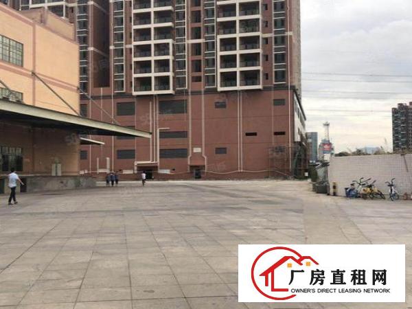  长安沙头村建安路2245平米超低价便宜厂房业主直租，清盘特价