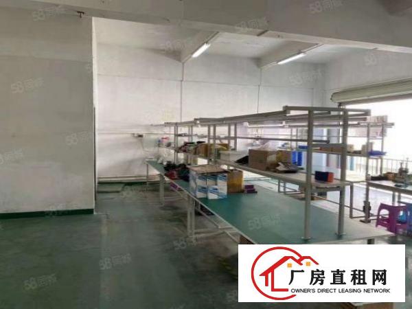  长安锦厦新出楼上小面积320平豪华装修厂房