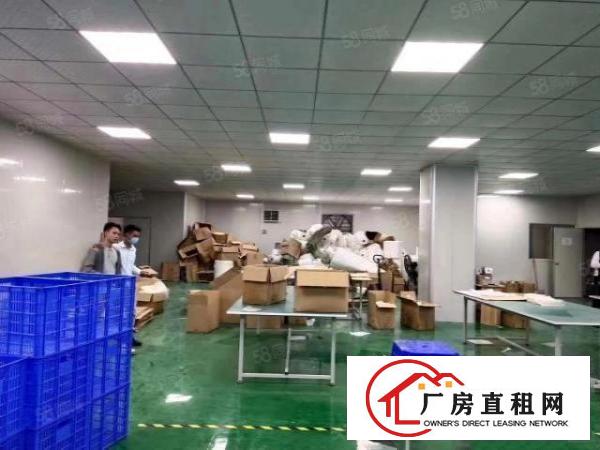  长安临界深圳沙井现成装修1000平厂房出租交通便利