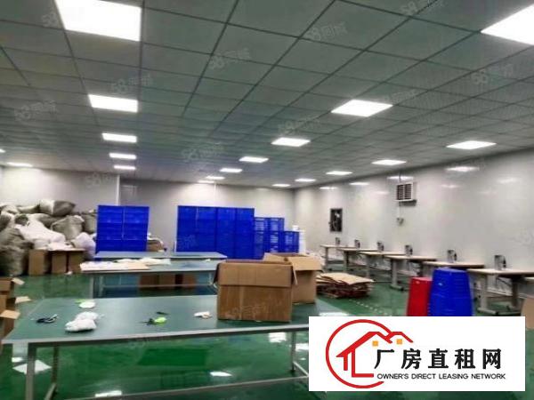  长安临界深圳沙井现成装修1000平厂房出租交通便利
