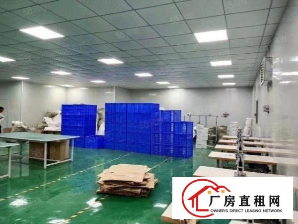 长安临界深圳沙井现成装修1000平厂房出租交通便利