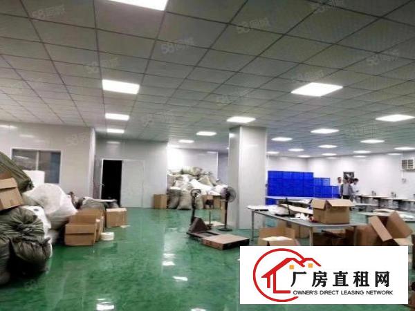  长安临界深圳沙井现成装修1000平厂房出租交通便利