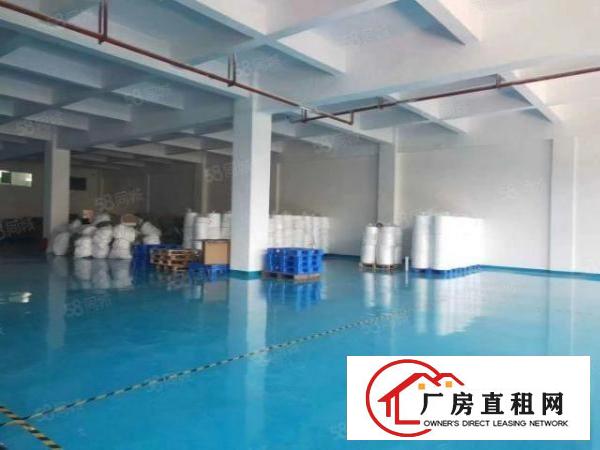  长安镇上沙新出楼上880平带有无尘车间，豪华装修