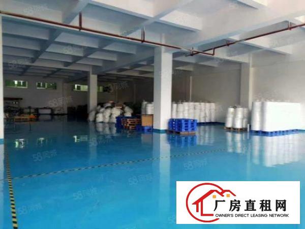  长安镇上沙新出楼上880平带有无尘车间，豪华装修