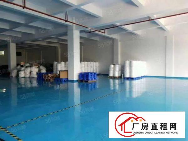  长安镇上沙新出楼上880平带有无尘车间，豪华装修