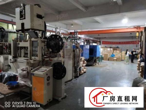  长安街口新岗路新空出一楼1200平带航车精装修办公室厂房出租