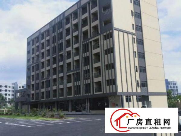  长安镇滨海湾新区花园式科创园50000平出租，可按需分租