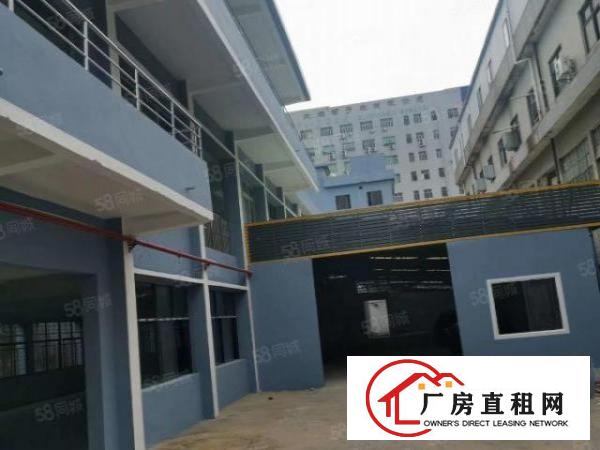  厦岗临近358省道及莲湖路交汇处新出独院2800平方整租22