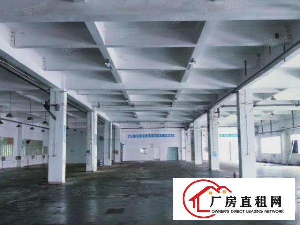  长安沙头新空原房东独院3层10500平，可分租，一楼6米高