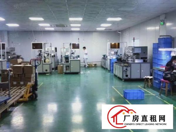  长安镇原房东独院分租楼上整层1350平，电子厂房，现成装修