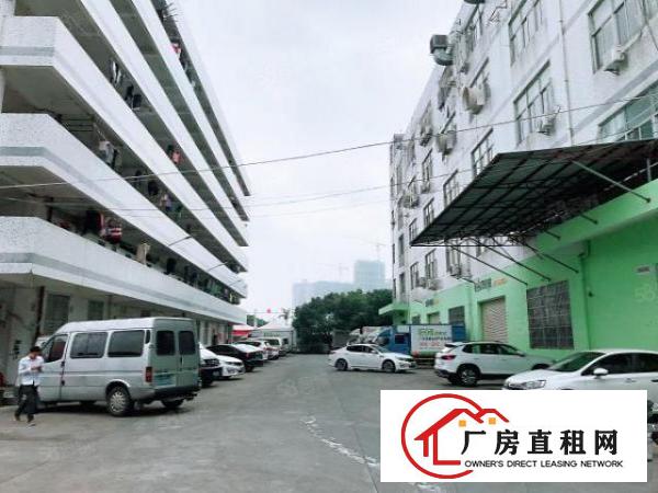  原房东！长安乌沙中心地带独门独院6500平厂房可分租