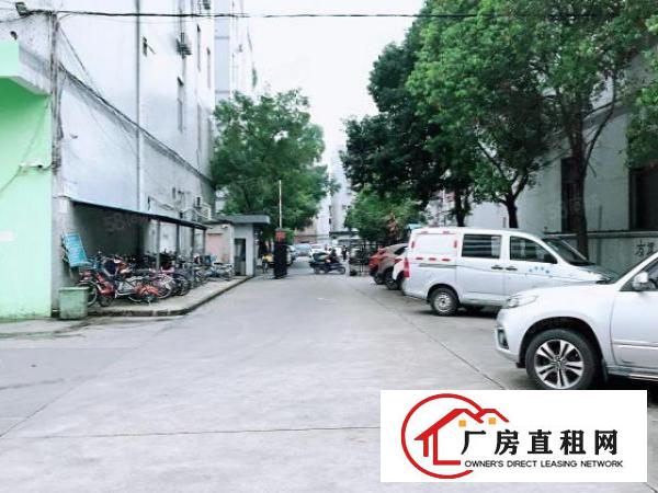  原房东！长安乌沙中心地带独门独院6500平厂房可分租