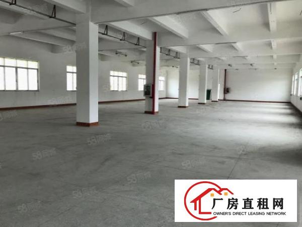  原房东！长安乌沙中心地带独门独院6500平厂房可分租