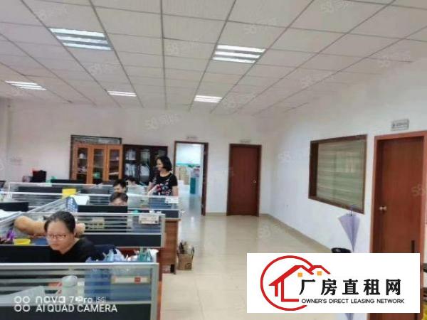  长安镇乌沙新安大桥附近实业客转租原房东独院5500平