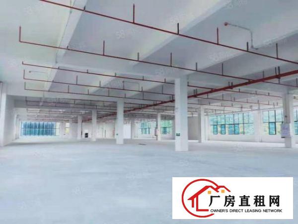  高薪创业园厂房招租，带政府补贴，带现成环评，带水电装修