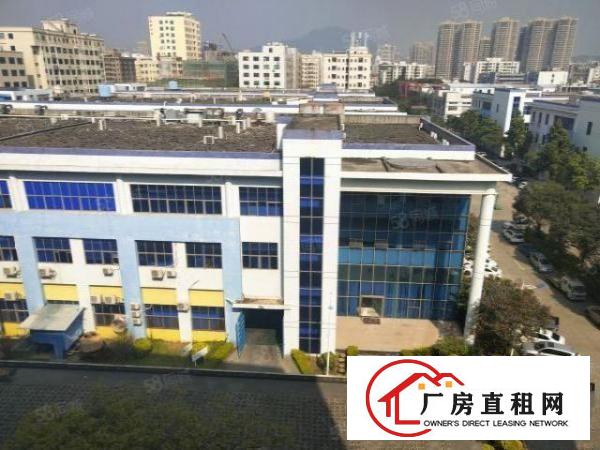  沙头社区现有无尘车间1000平方厂房出租带精装修水电齐全