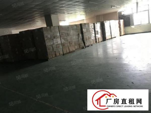  沙头新出全新厂房4楼1100平方豪华装修