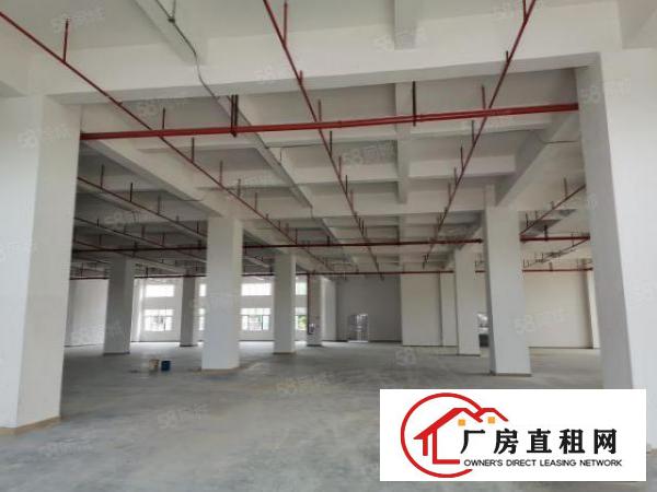  原房东500平.800平.1000平一楼厂房出租，可办环评