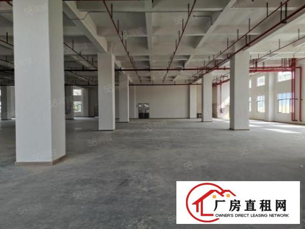  原房东500平.800平.1000平一楼厂房出租，可办环评