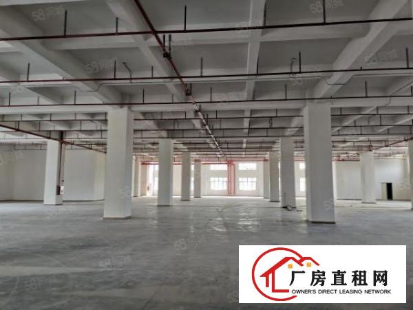  原房东500平.800平.1000平一楼厂房出租，可办环评