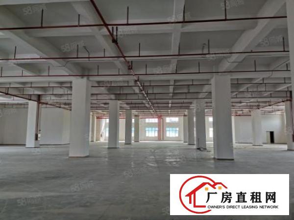  原房东500平.800平.1000平一楼厂房出租，可办环评