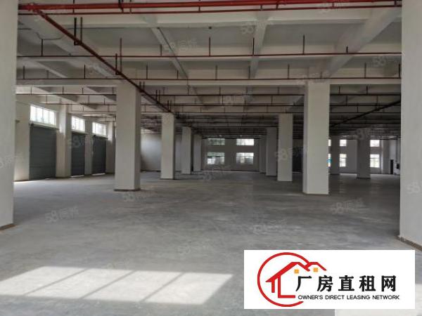  原房东500平.800平.1000平一楼厂房出租，可办环评