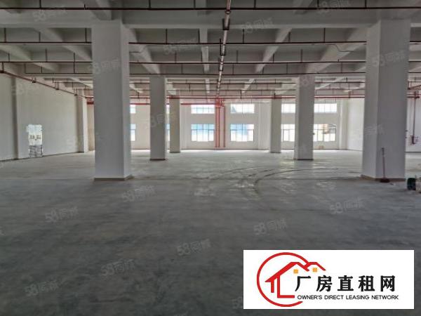  原房东500平.800平.1000平一楼厂房出租，可办环评