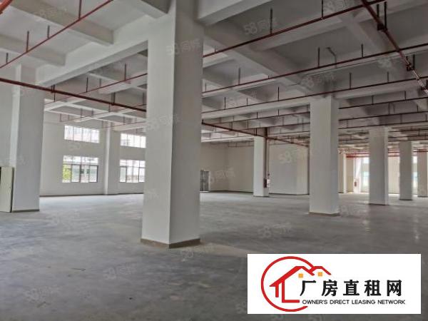  原房东500平.800平.1000平一楼厂房出租，可办环评