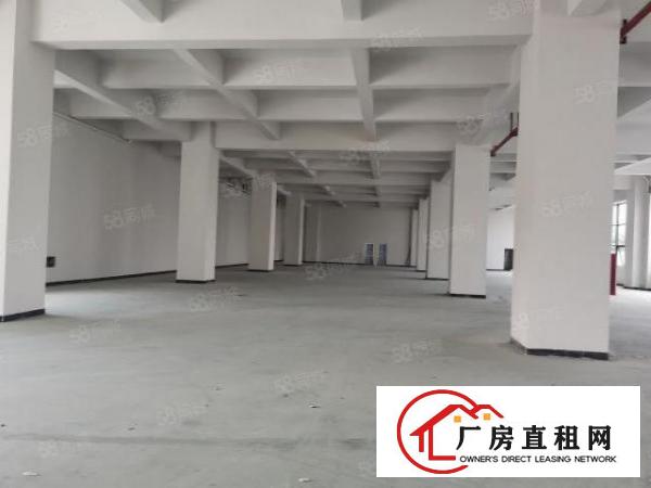  笋！原房东小面积200至2000平米厂房出租，精装修！