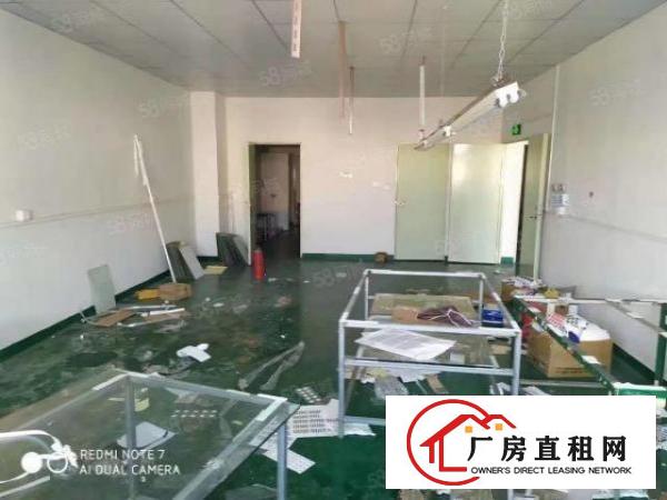  长安厦边新出精装修260平厂房出租