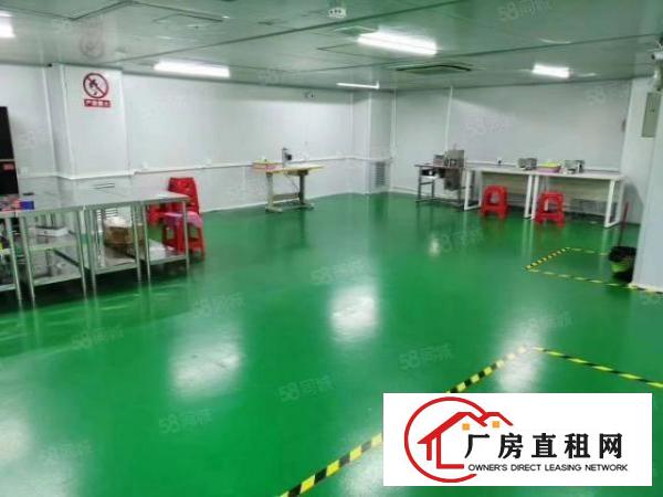  靓霄边现成带装修0成本入驻工业园区厂房分租独院厂房出租