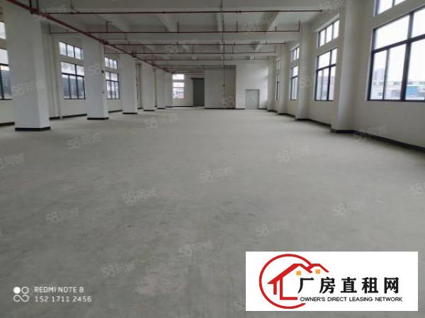  临界深圳长安原房东1000平厂房出租可分租仓库