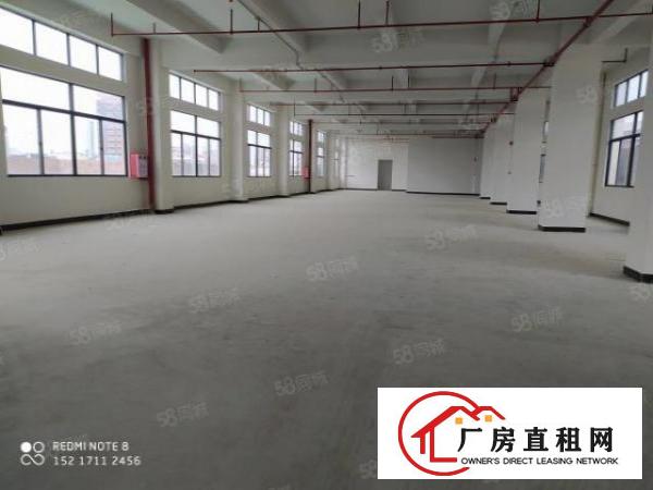  临界深圳长安原房东1000平厂房出租可分租仓库