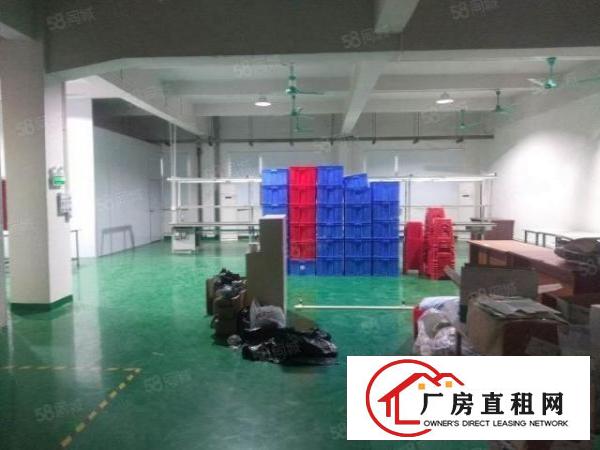  厦岗嘉荣超市附近楼上450平水电办公室齐全厂房出来！