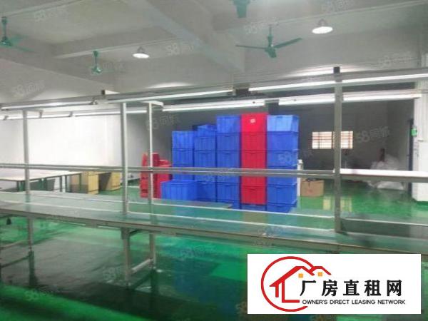  厦岗嘉荣超市附近楼上450平水电办公室齐全厂房出来！
