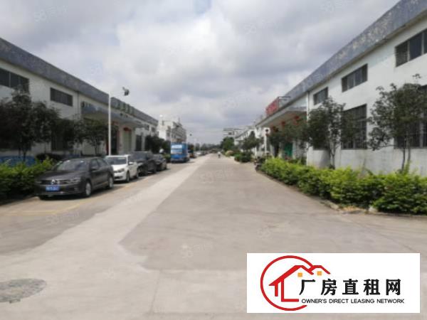  可做家具可办环评长安镇原房东出租钢构1500平厂房可分租