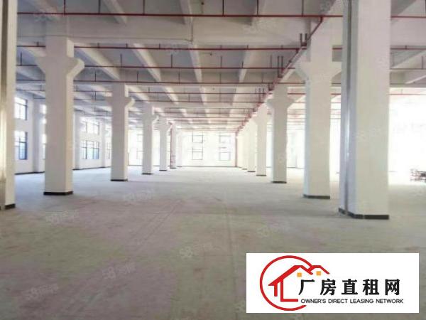  超长免租期！租金13元！大宁2万平全新重工厂房分租！包办环评