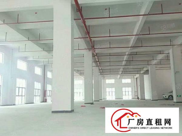  超长免租期！租金13元！大宁2万平全新重工厂房分租！包办环评