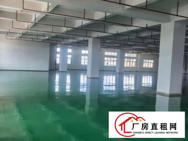  超长免租期！租金13元！大宁2万平全新重工厂房分租！包办环评