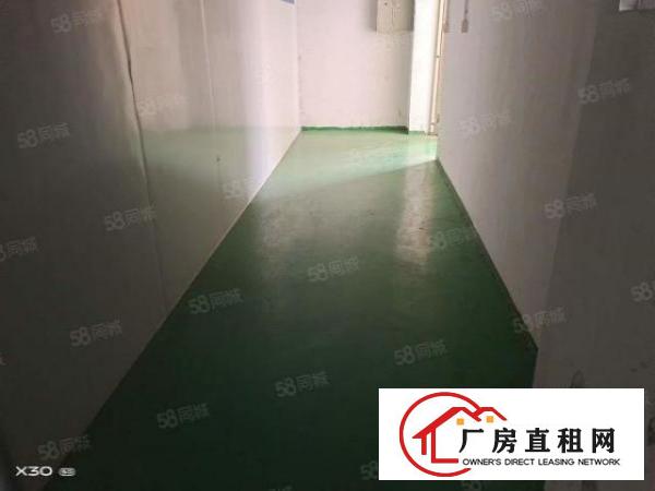  长安沙头新出楼上850平带装修办公室厂房招租