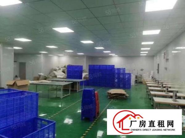  二楼450平方，全新装修厂房出租