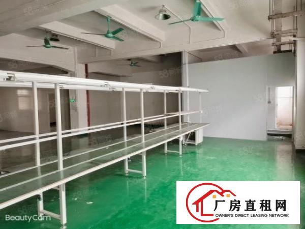  原房东二楼200.300.400平米带装修，拎包入住，环境好