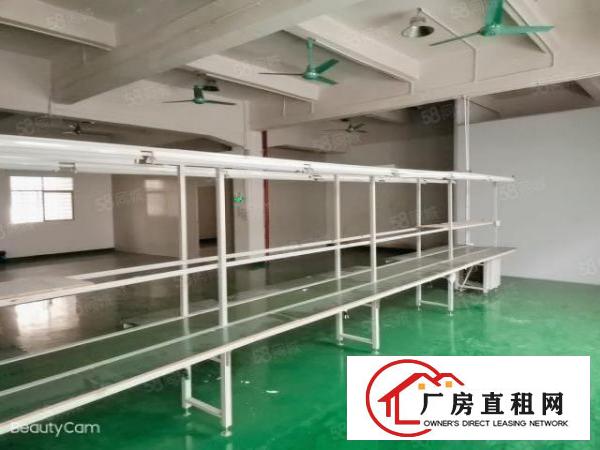  原房东二楼200.300.400平米带装修，拎包入住，环境好