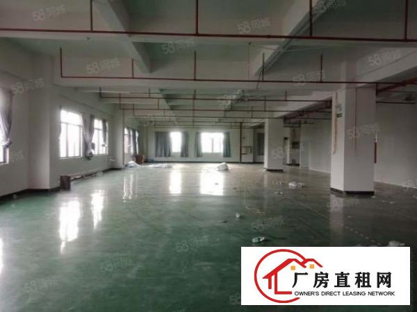  长安沙头楼上新出1200平方豪华装修厂房