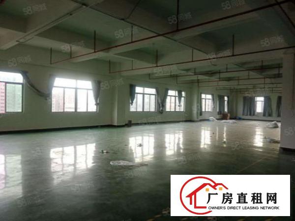  长安沙头楼上新出1200平方豪华装修厂房