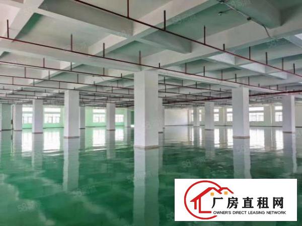  乌沙社区全新厂房大小可分租水电齐全消防到位原房东厂房