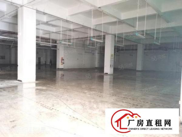  长安新出乌沙原房东独院25000平方厂房出租！