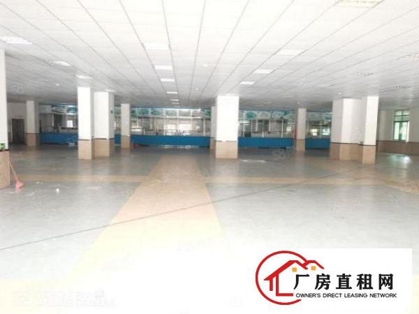 长安新出乌沙原房东独院25000平方厂房出租！