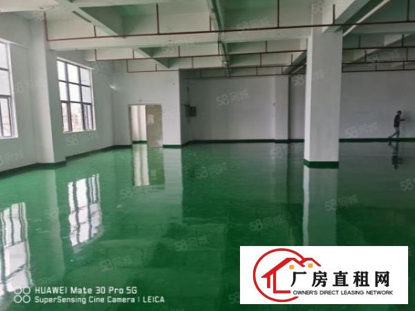  新出二楼1100平方，豪华装修厂房
